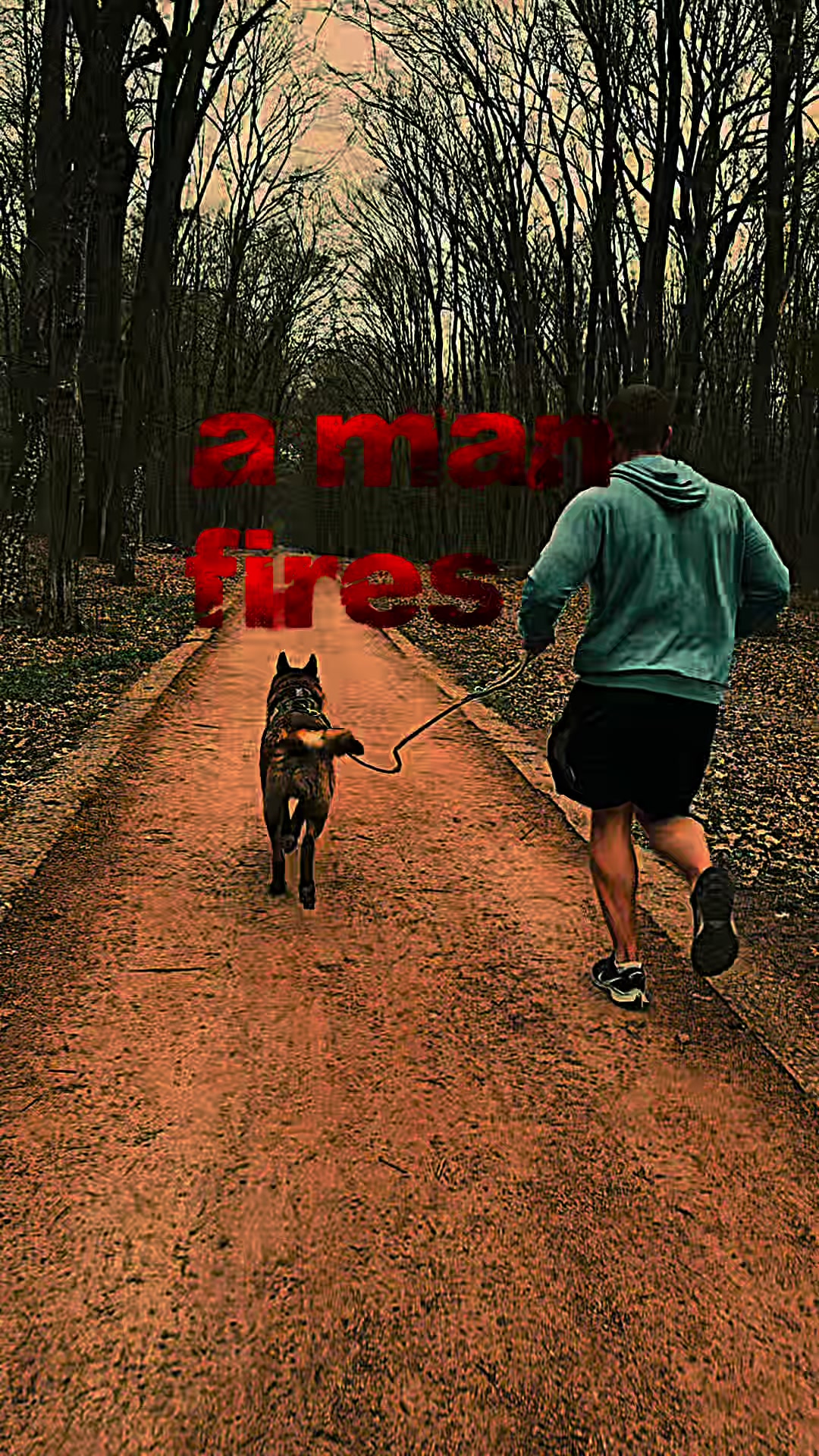 @24fitcoach.emil