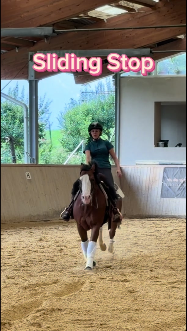 @julia_libertyhorses