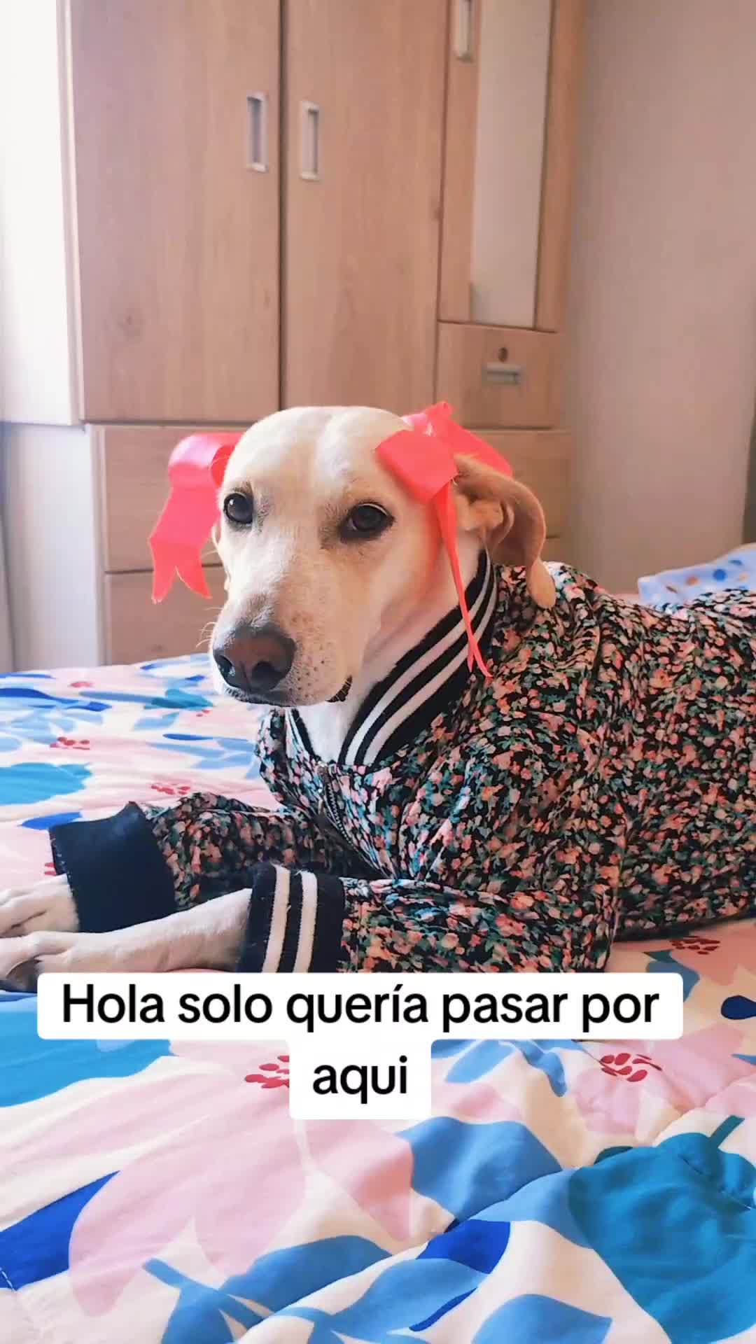 @winnie ❤🦮
