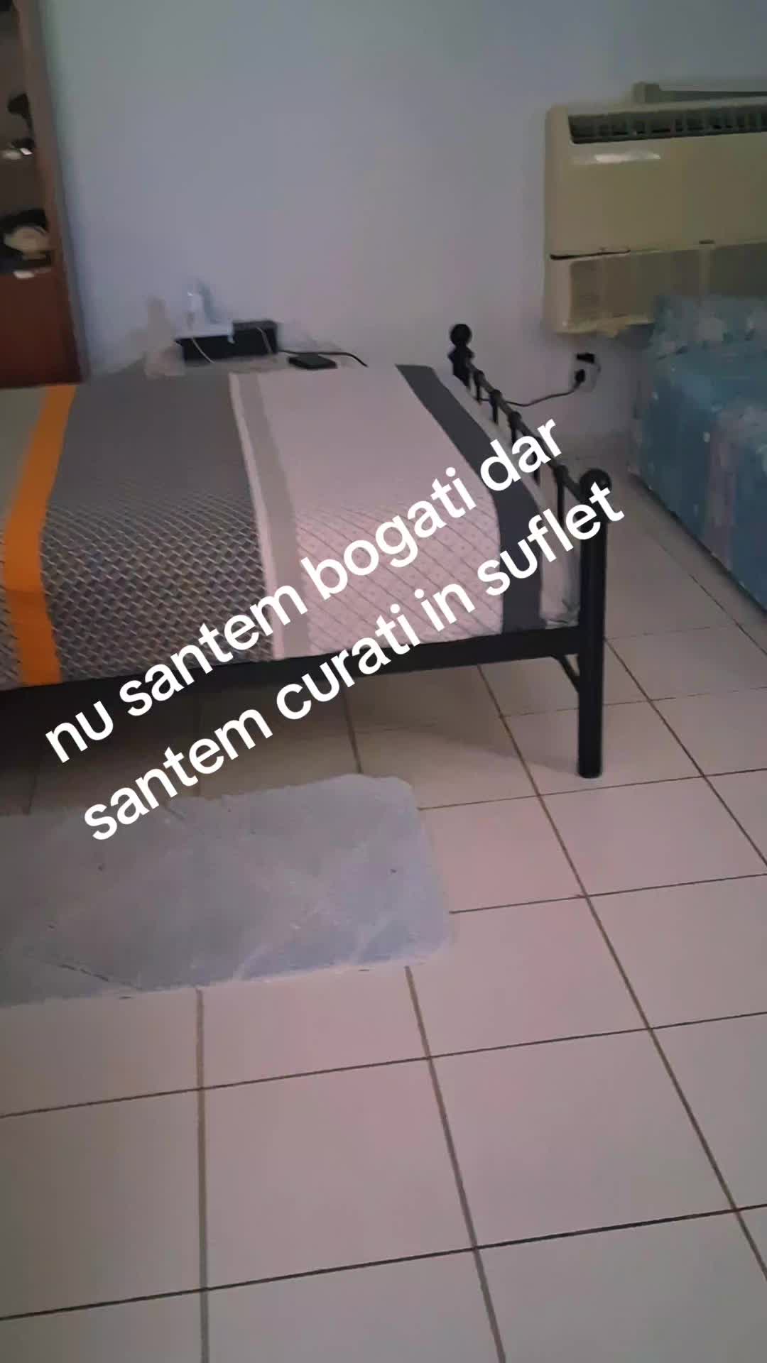 @Ștefania.Valentina6