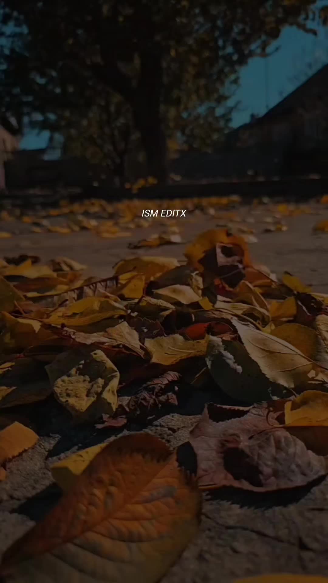 @اقراء❤️🔥