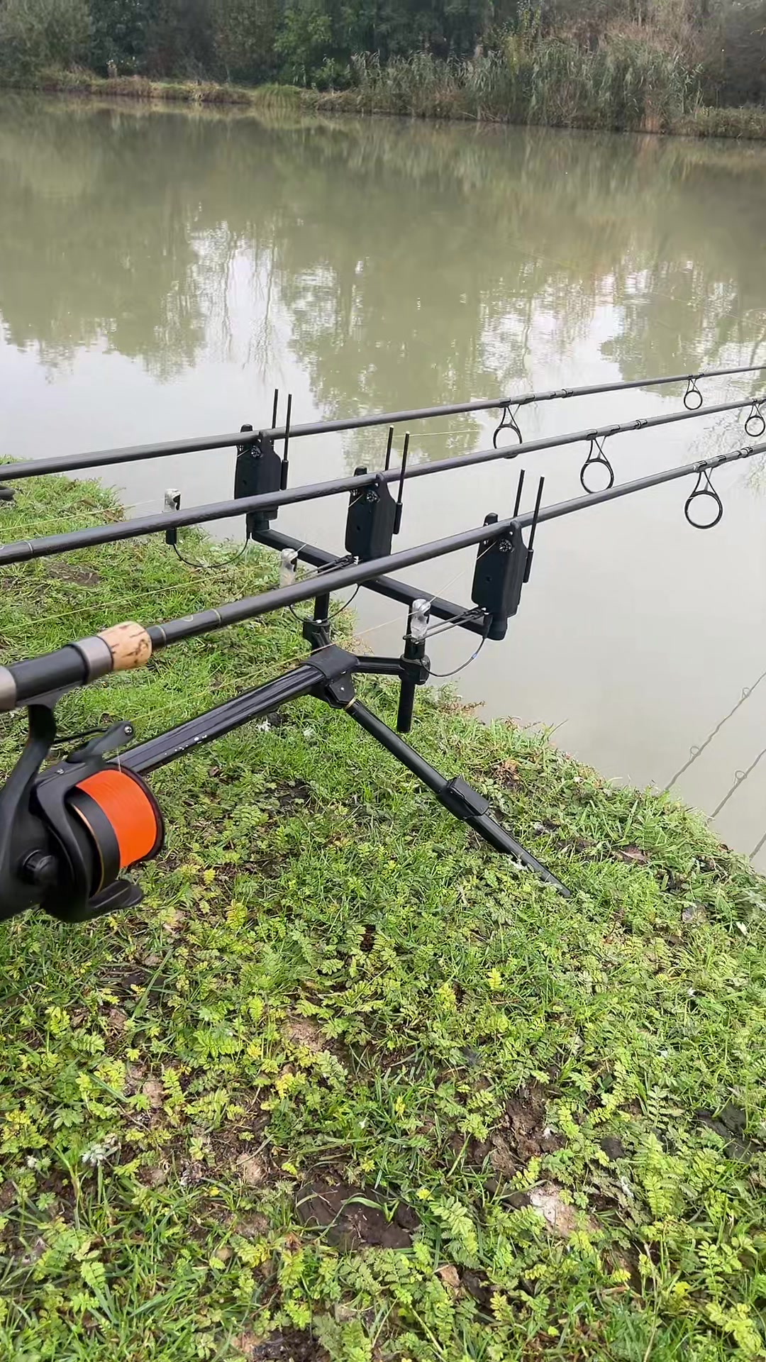 @Carpefishing80