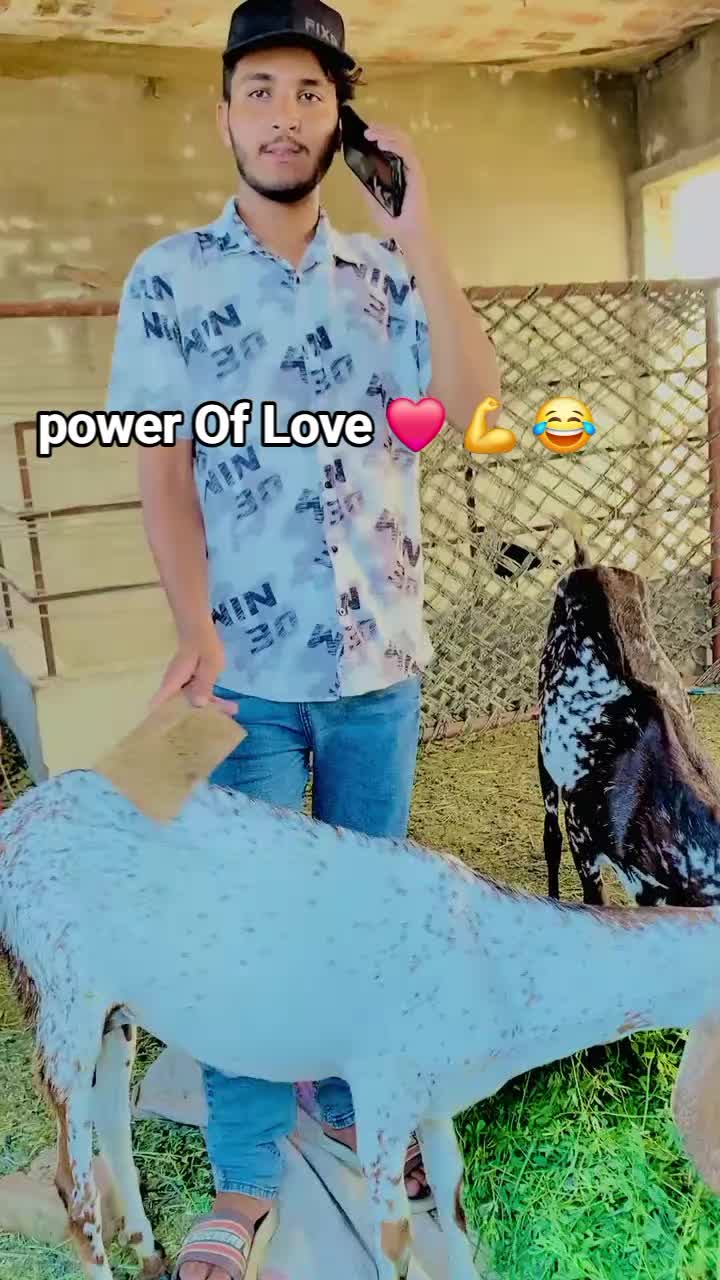 @jobifunny08