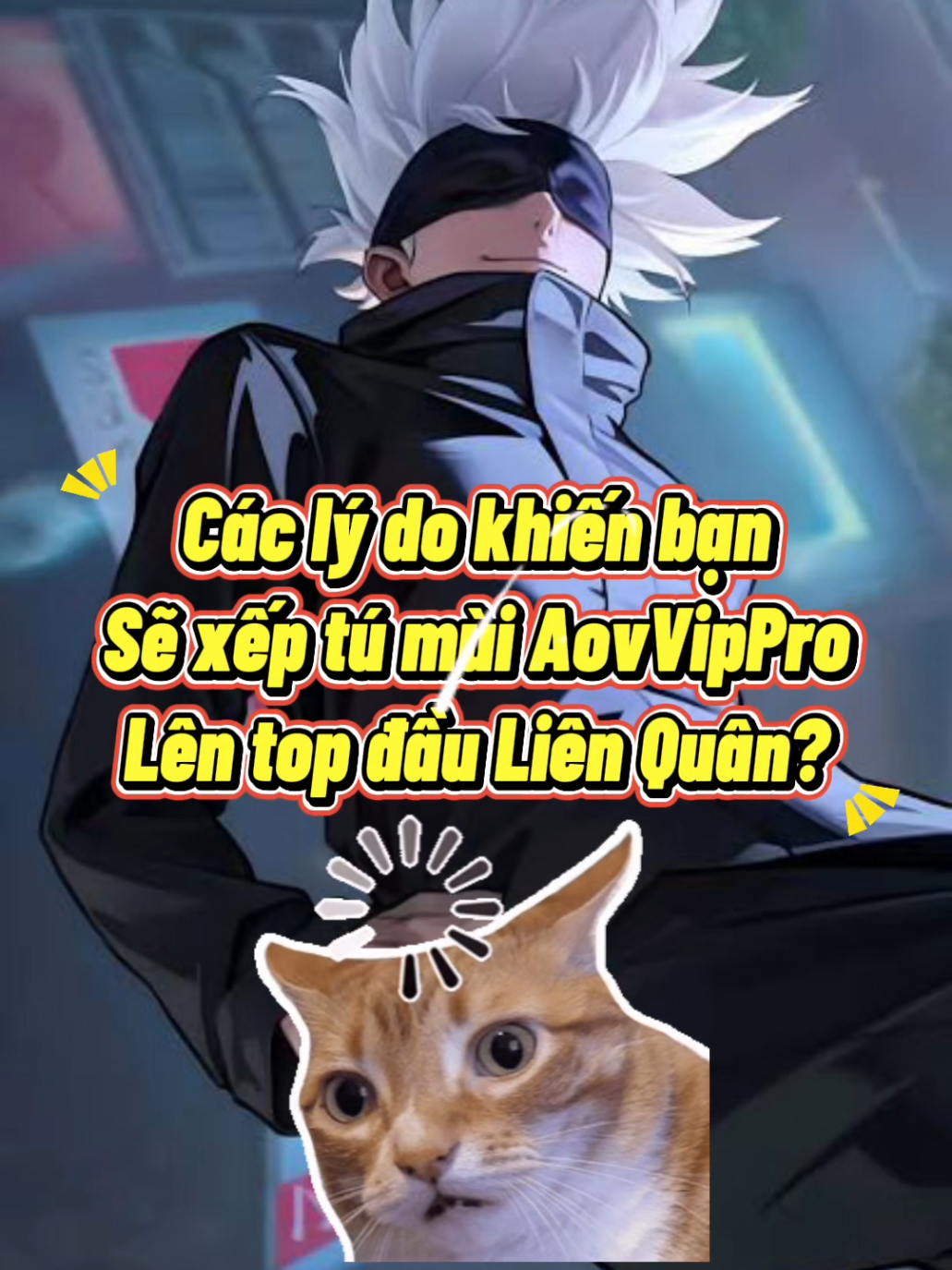 @T&uacute;i M&ugrave; AovVipPro Top 1 VN 🇻🇳