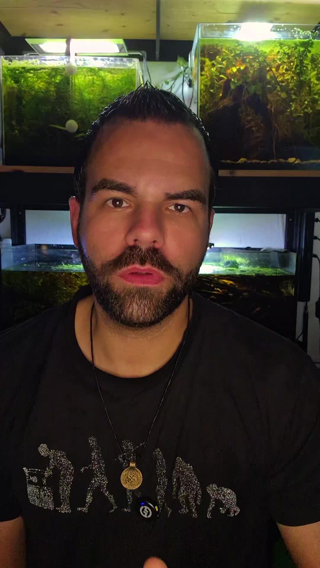 @Barschfan Aqualive