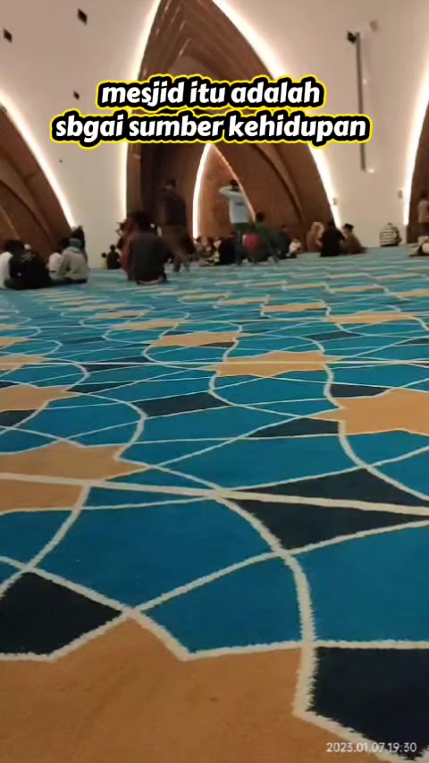 @vieagnur