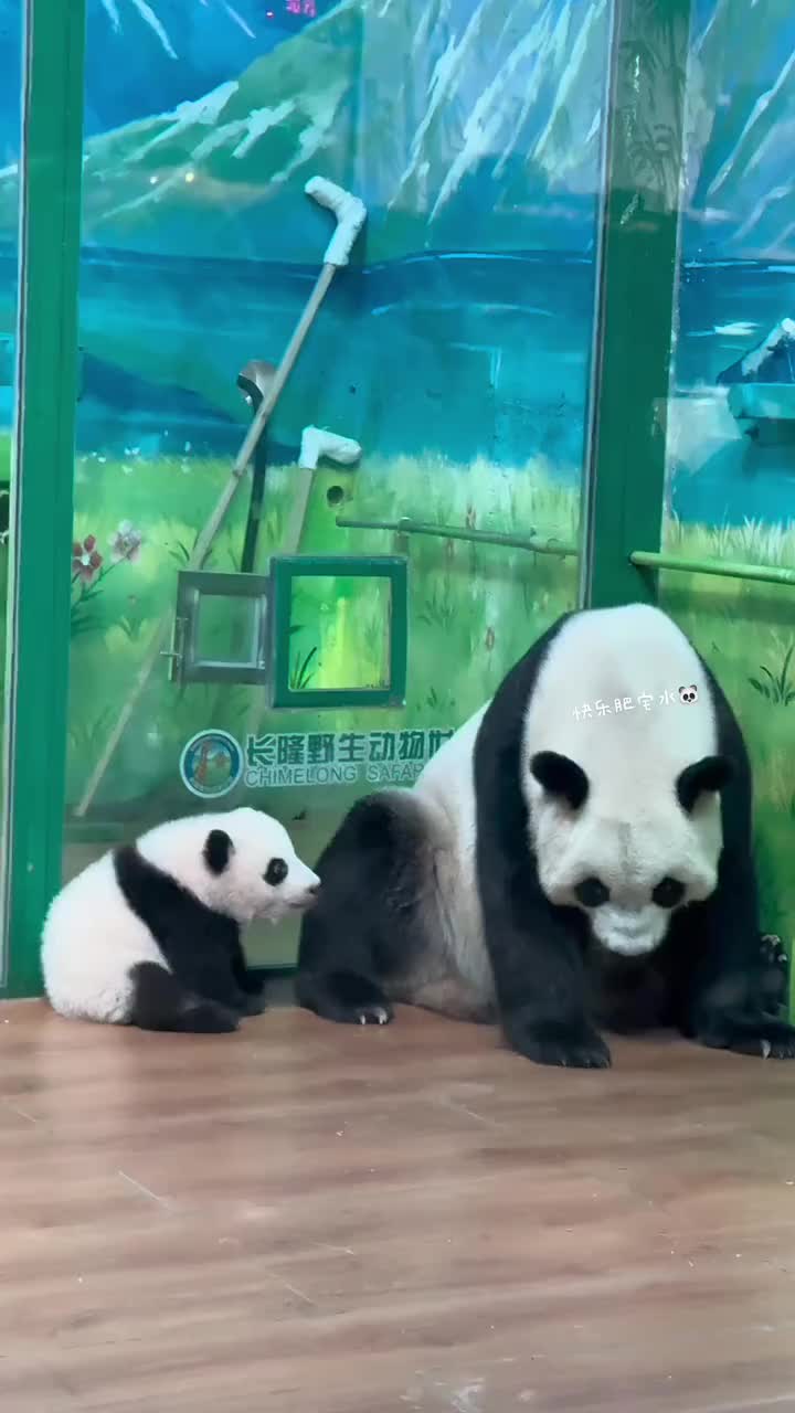 @ショウキンキ