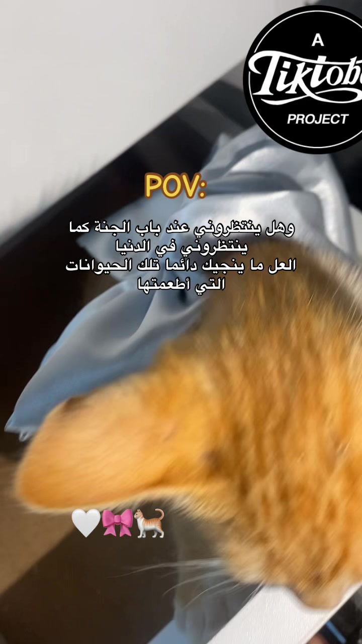@༺ أَمُّ دُنْيَا 👭وَأَدْيَان ༻