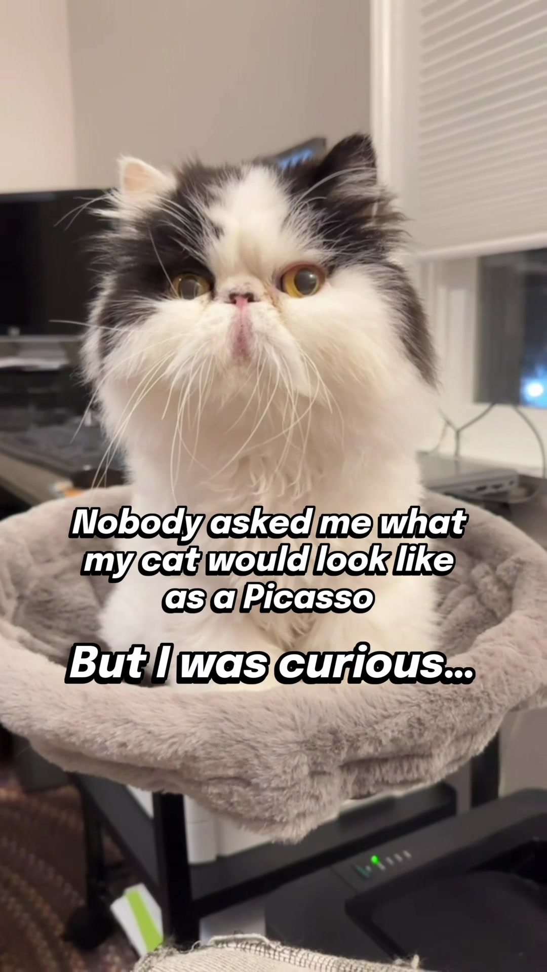 @Walter Bishop The Cat