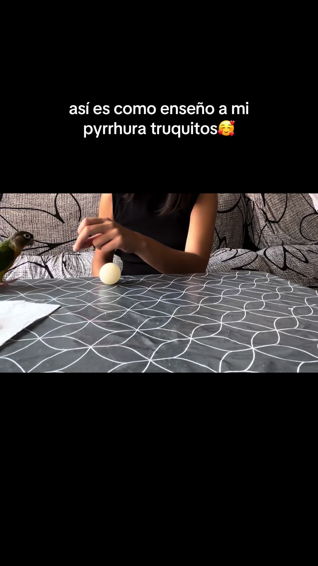 @Carla Basso