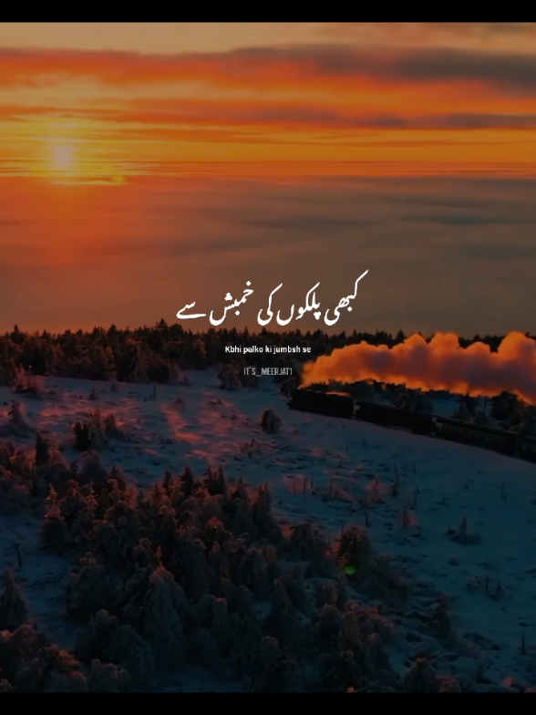 @Its_Meerjat