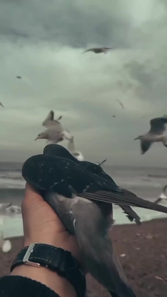 @ঘুমন্ত শহর