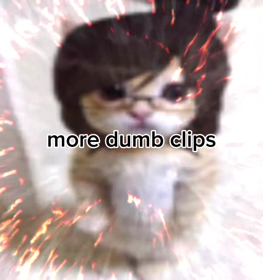 @✧༺𝓐𝓛𝓨༻✧
