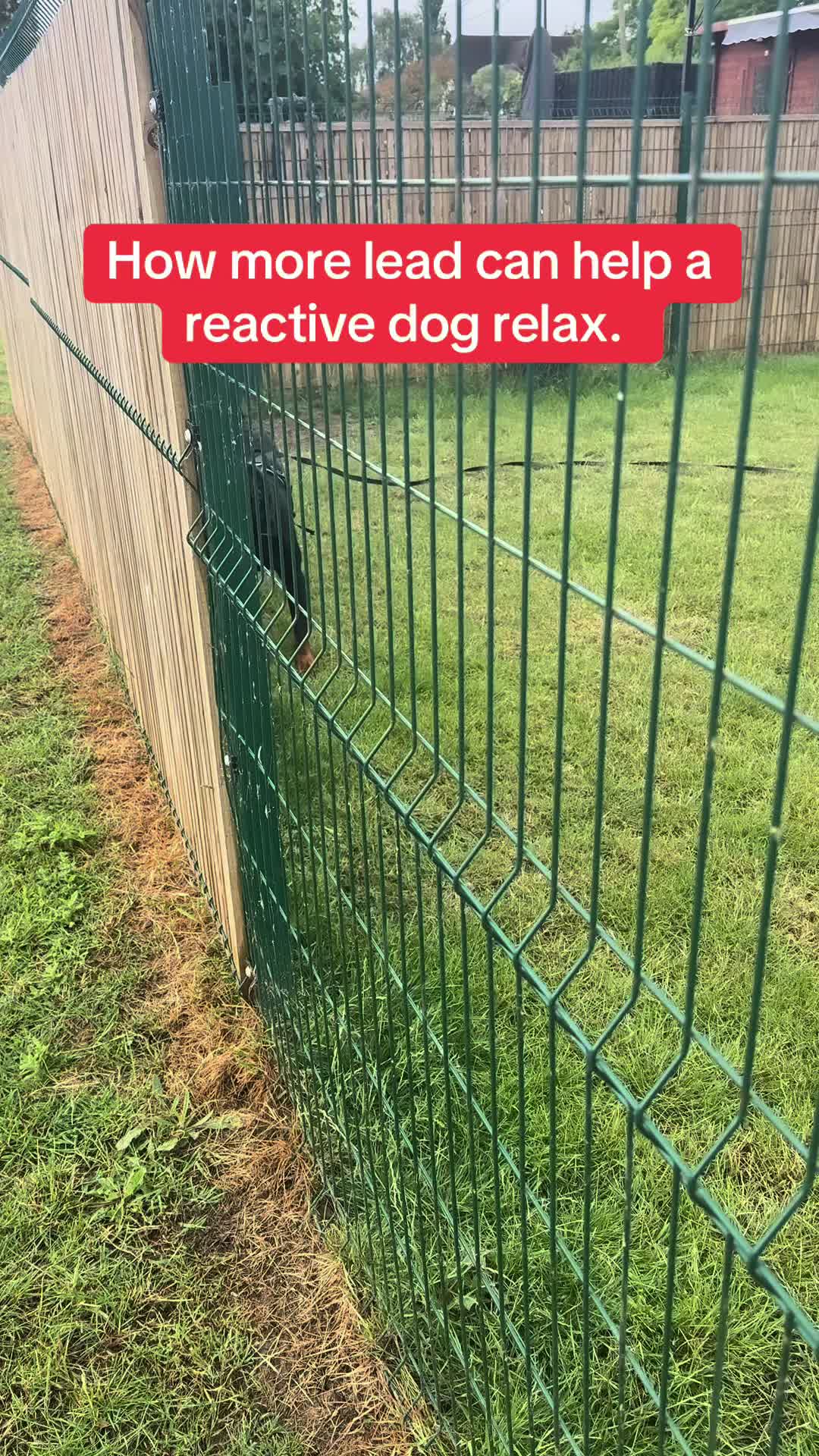 @SouthendDogTraining