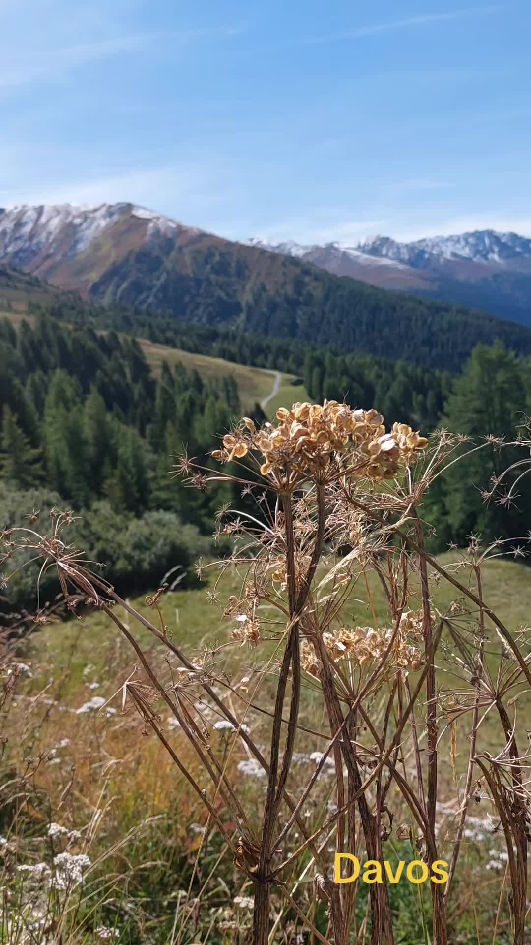 @Vladzik67