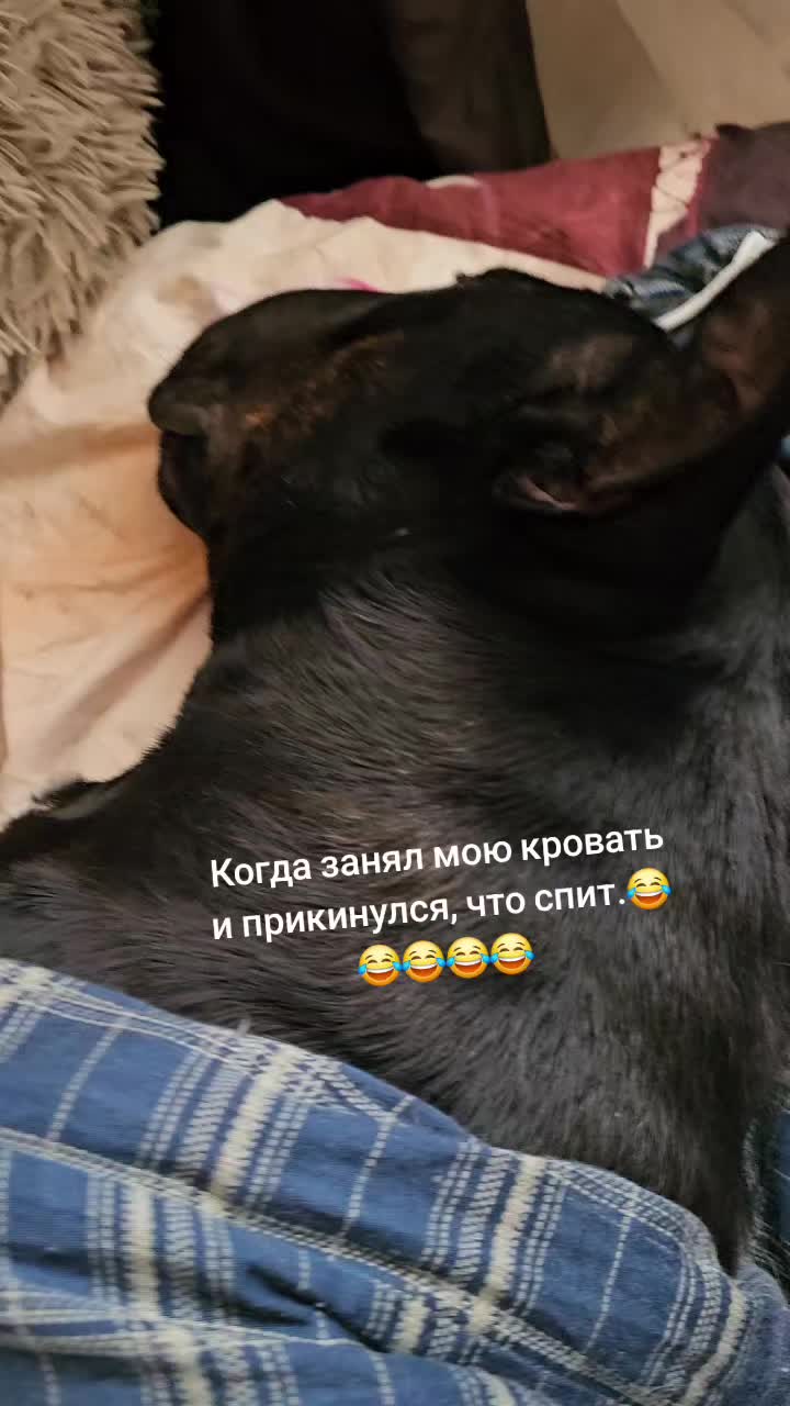 @Irena Turbanova