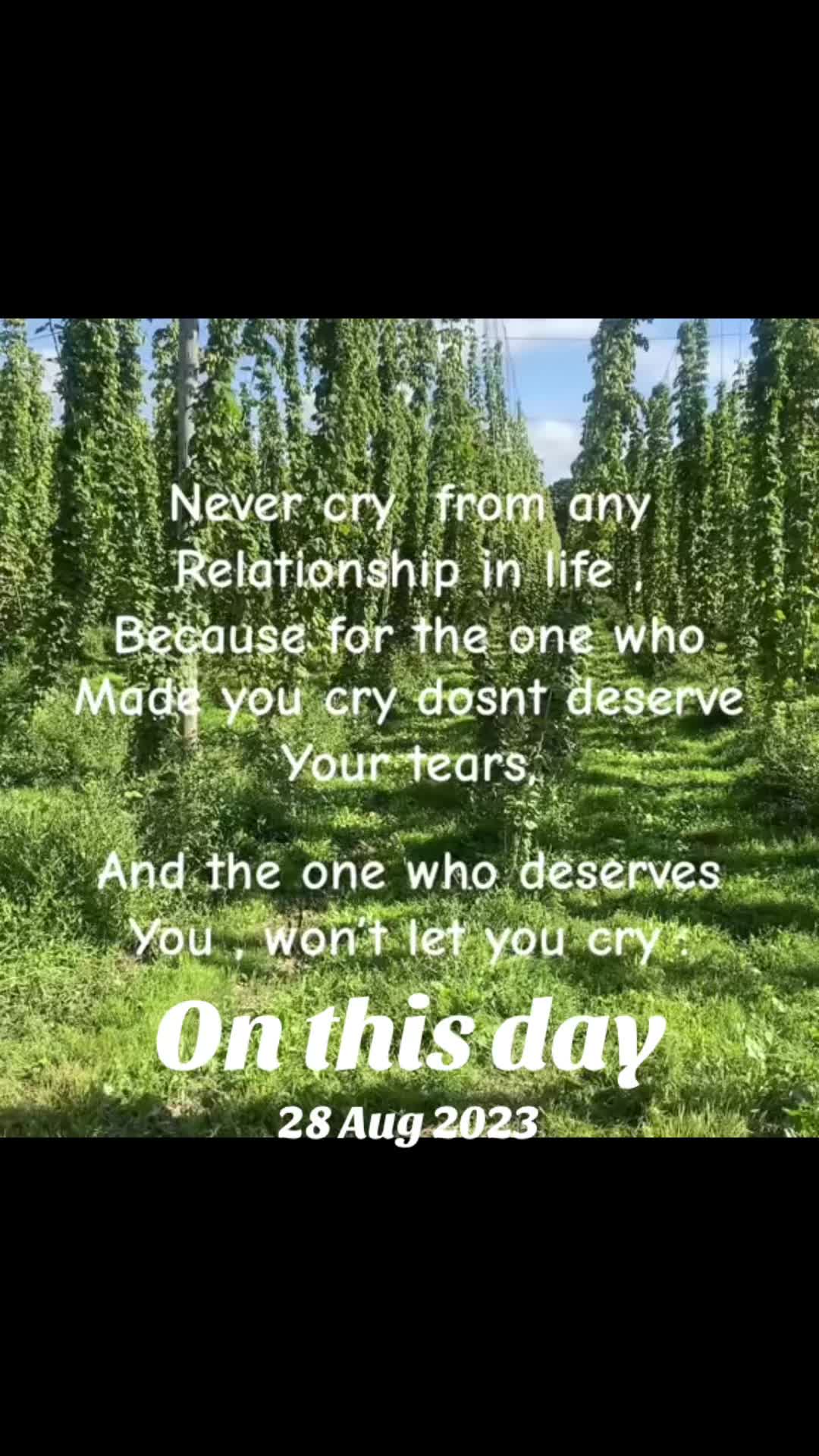 @RosieRiddle