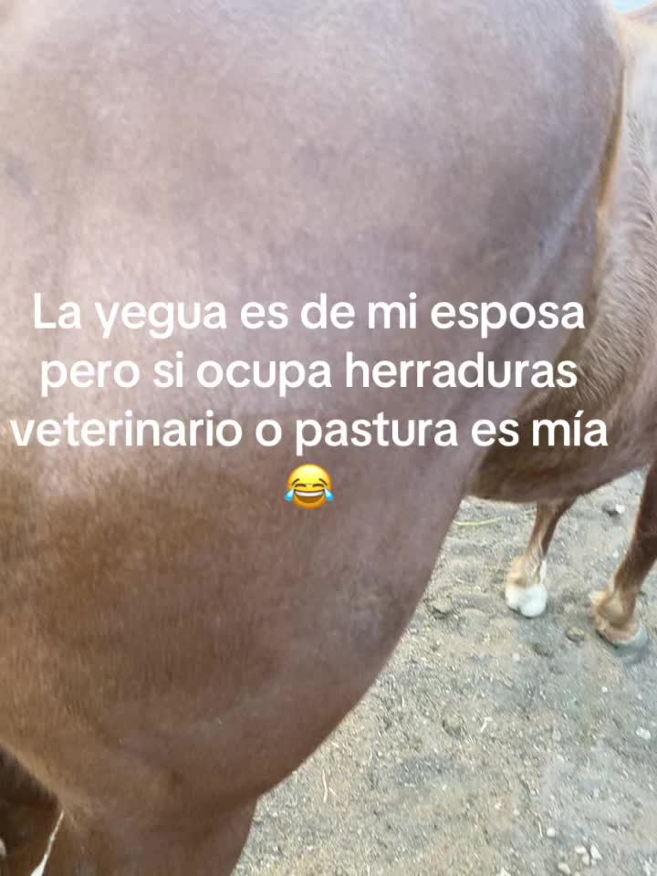 @Jdelcampo