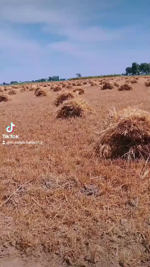 @h.sbaloch020