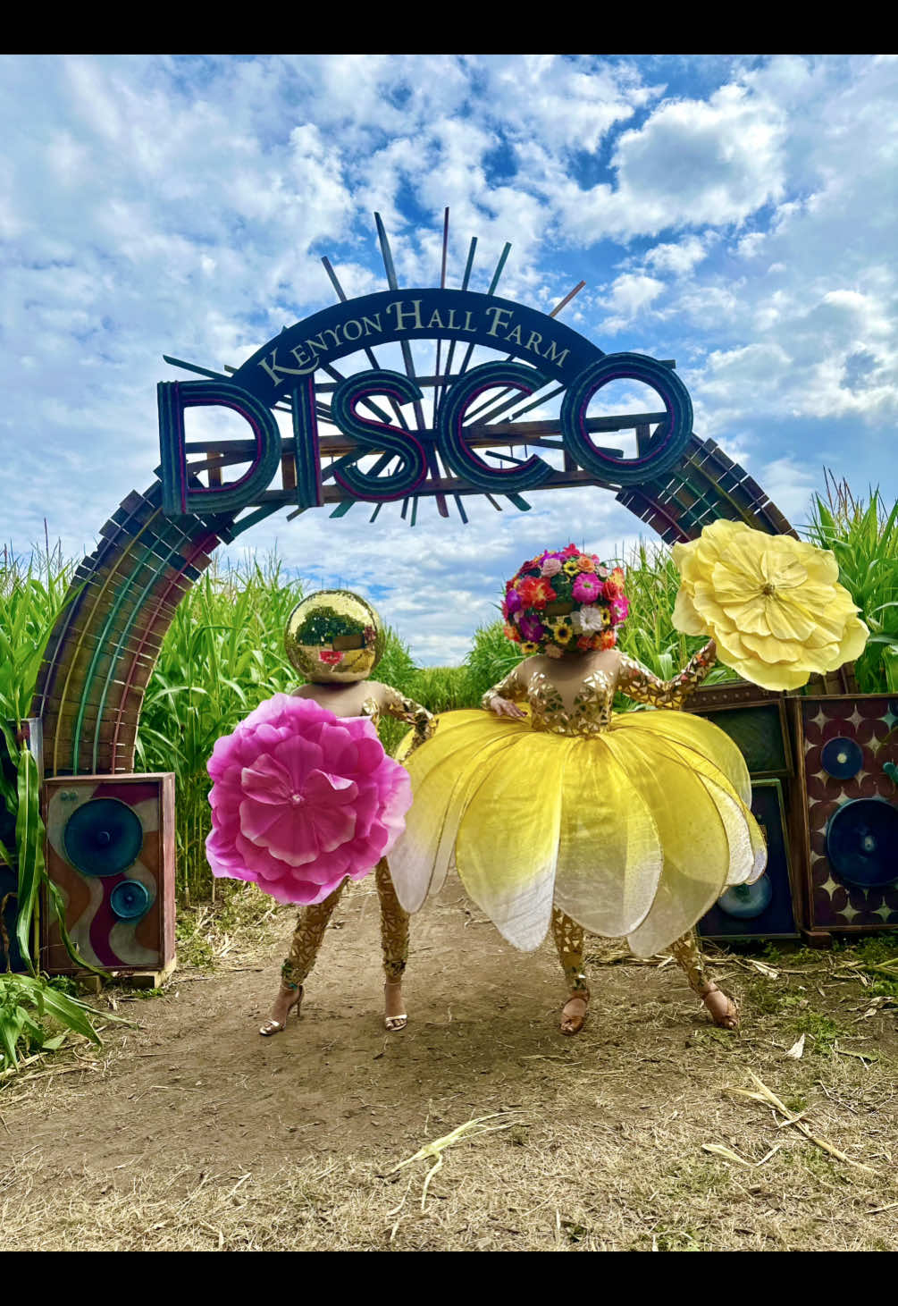 @discodancers_