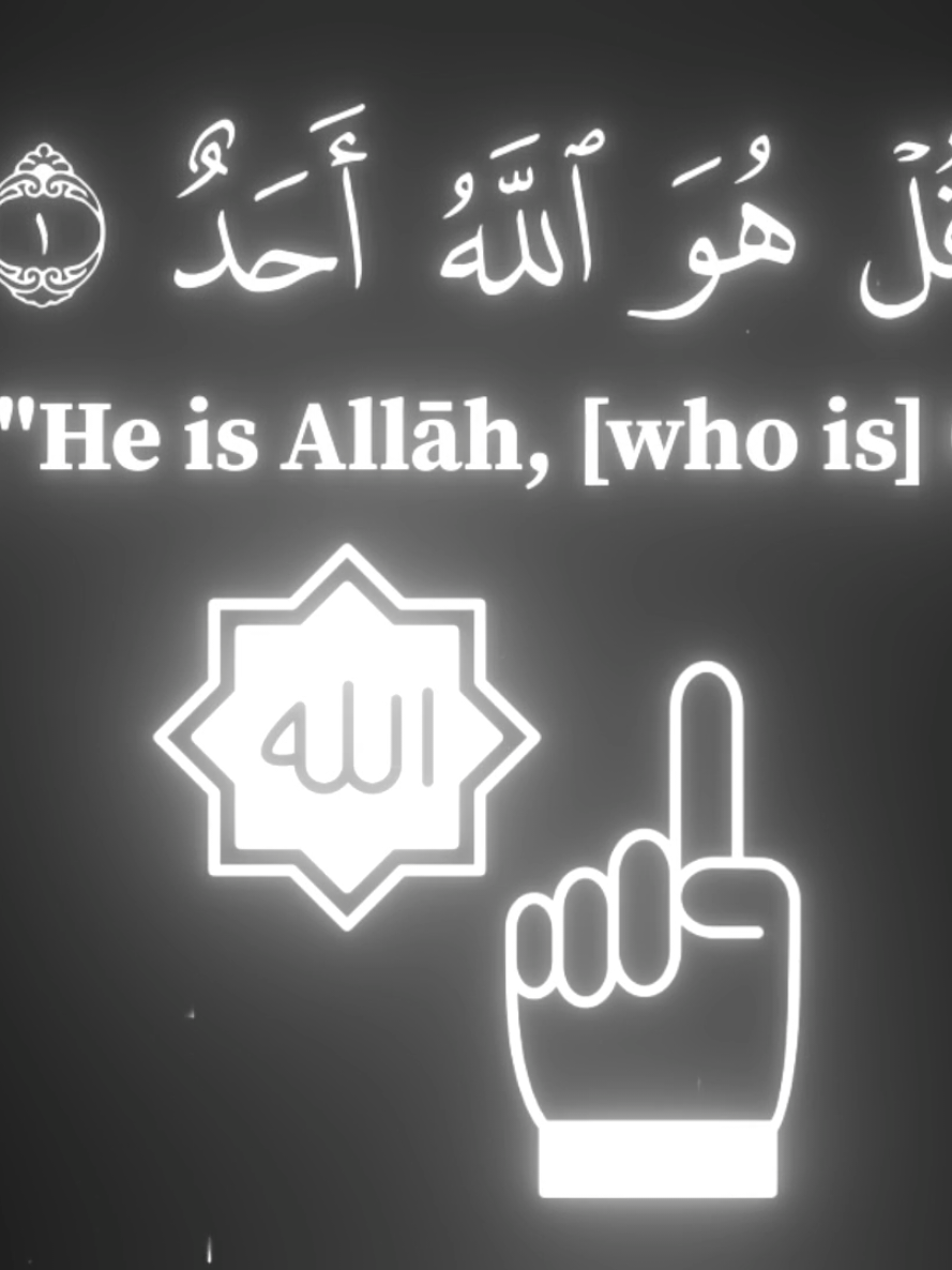 @quranrecitations_57𓂆🇵🇸