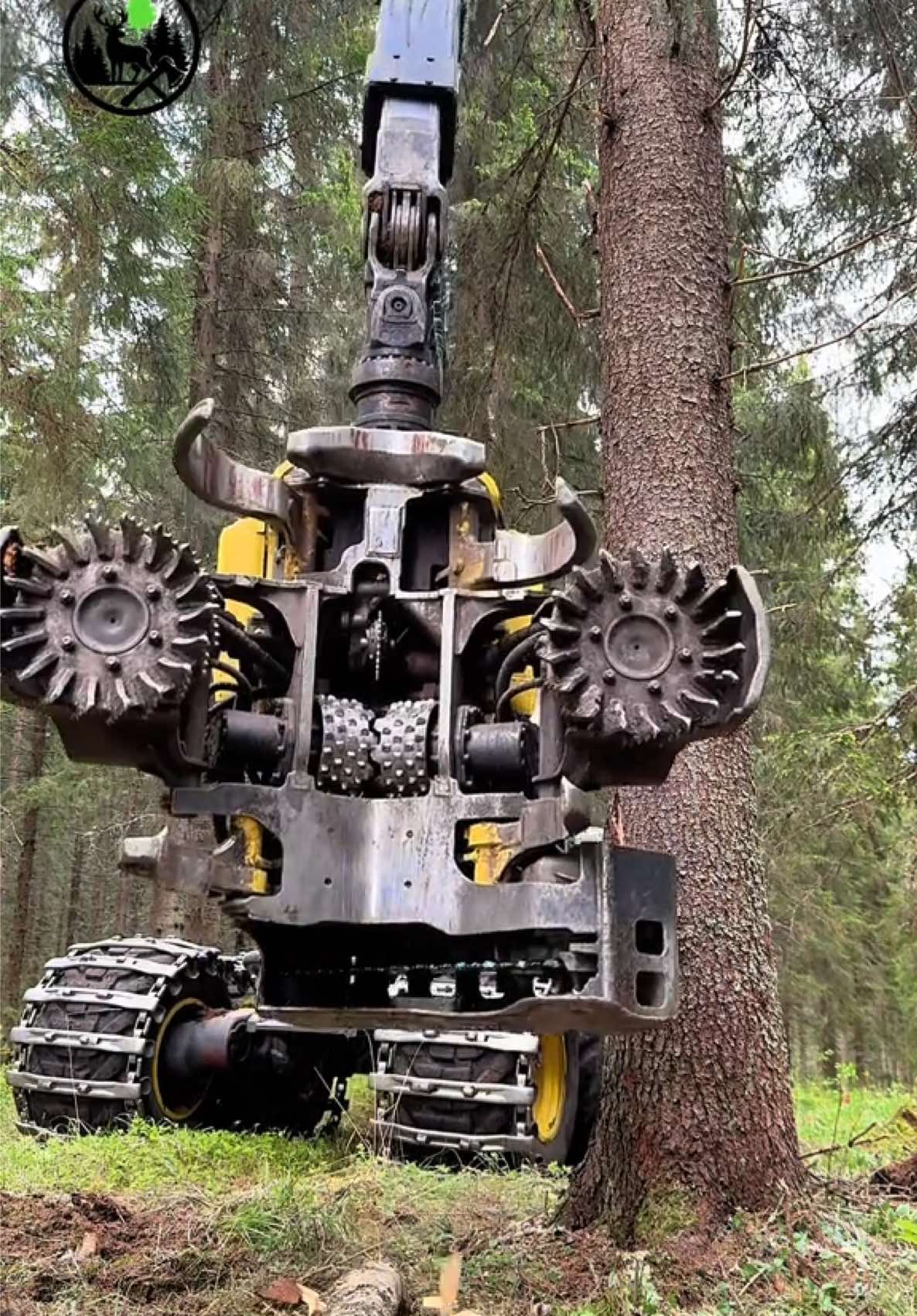 @Metsätalous