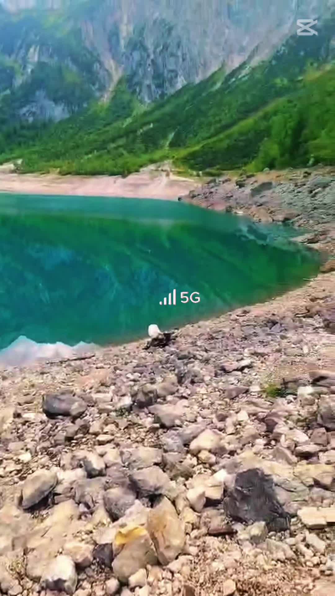 @โก๐๐๐๐๐๐๐โก