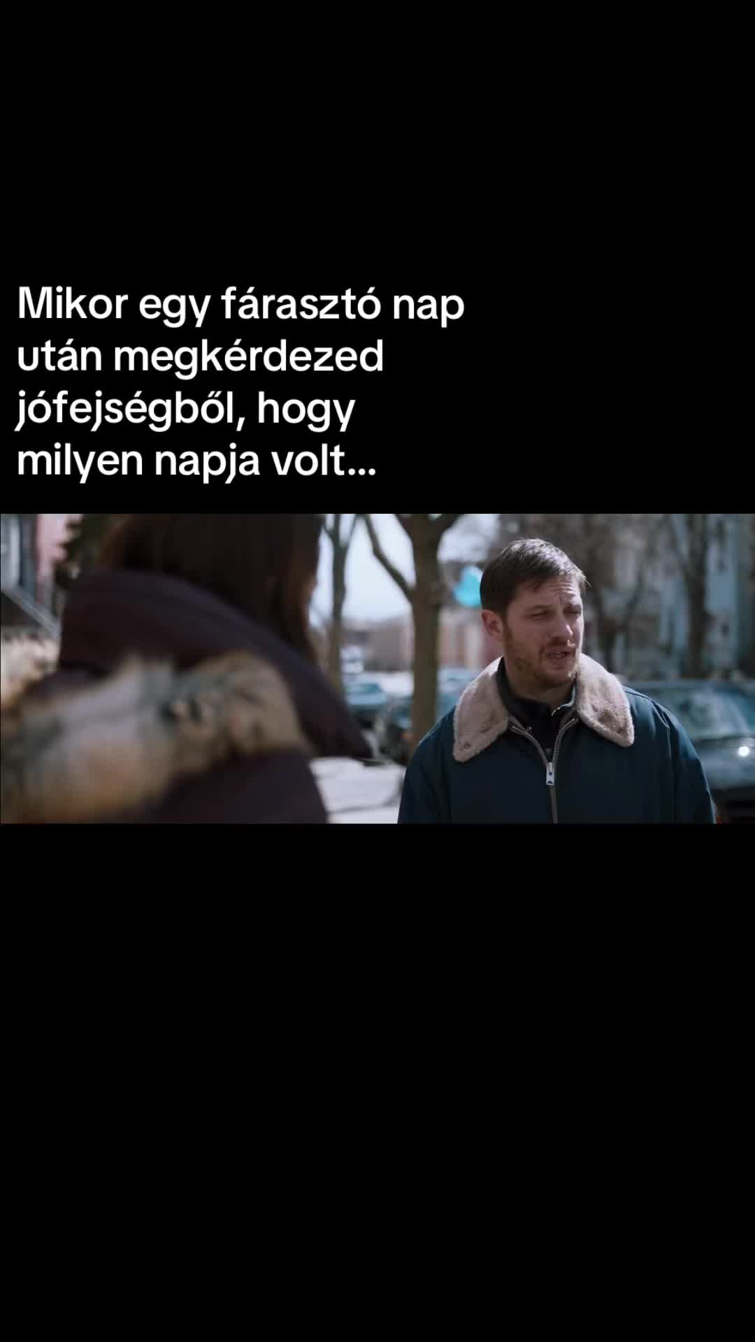 @buczivok