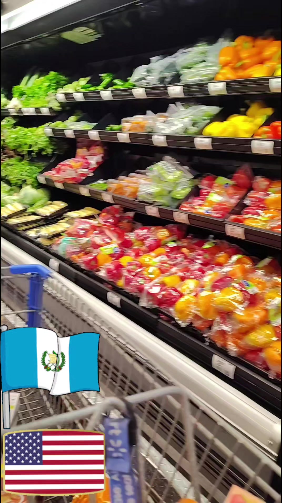 @☠️☠️🪽LEO-POISON🪽☠️☠️