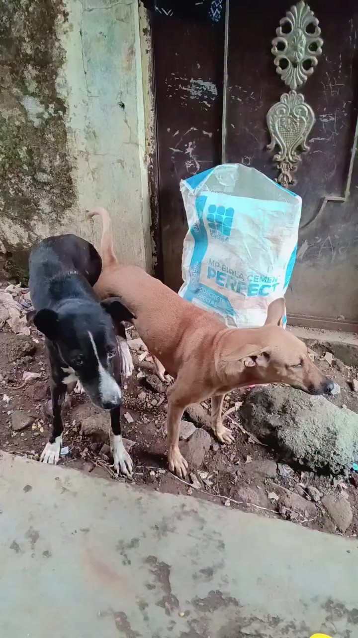 @Ashok kr Yadav