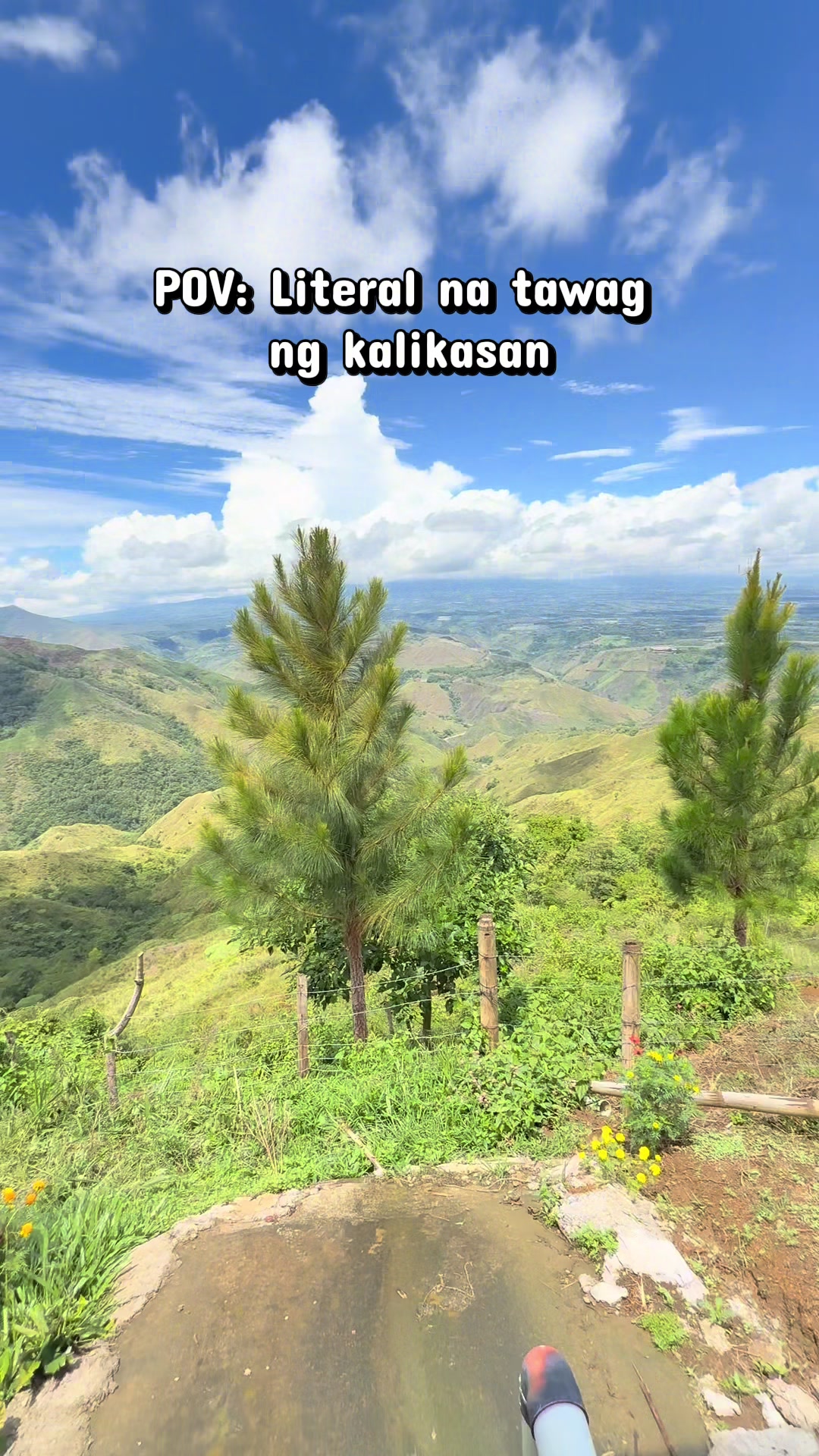 @naldy.