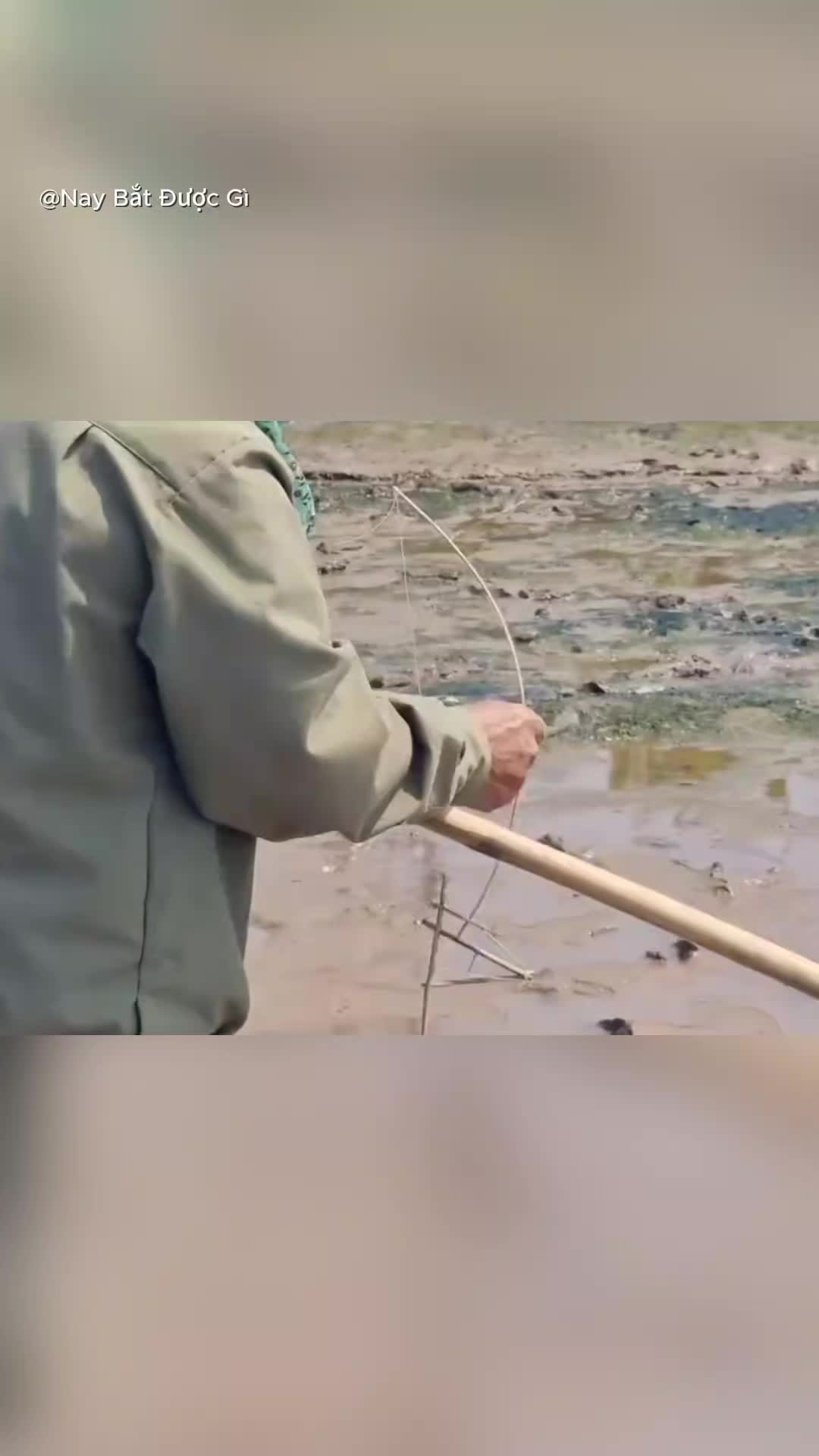 @Nay Bắt Được G&igrave;