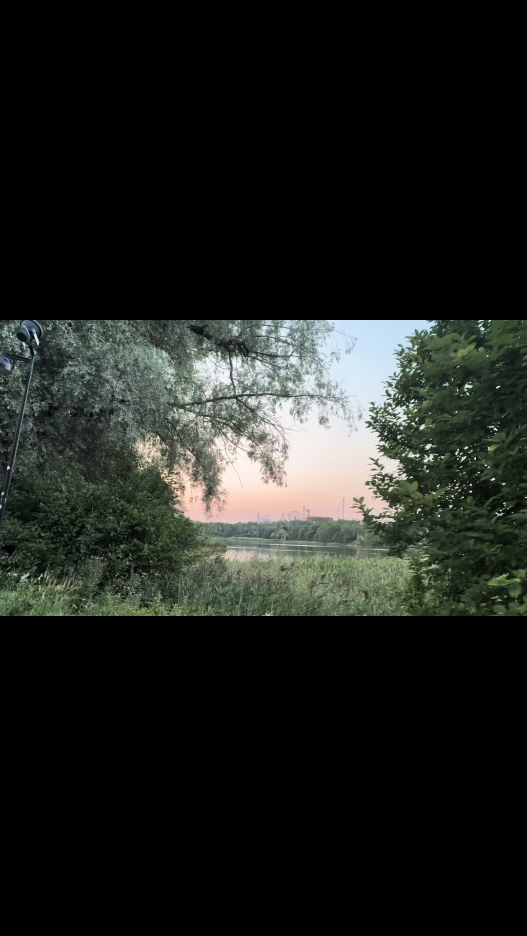 @_the_naomi_