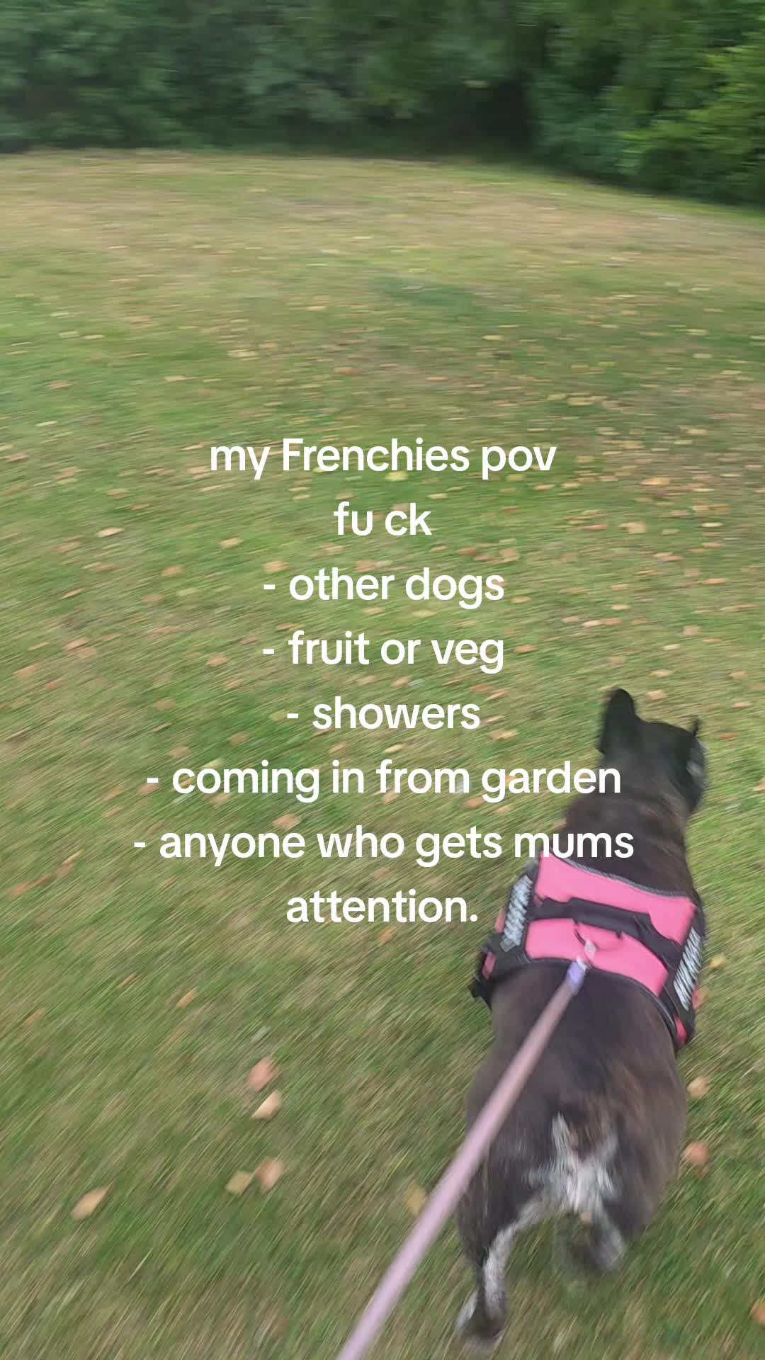 @Suzanne