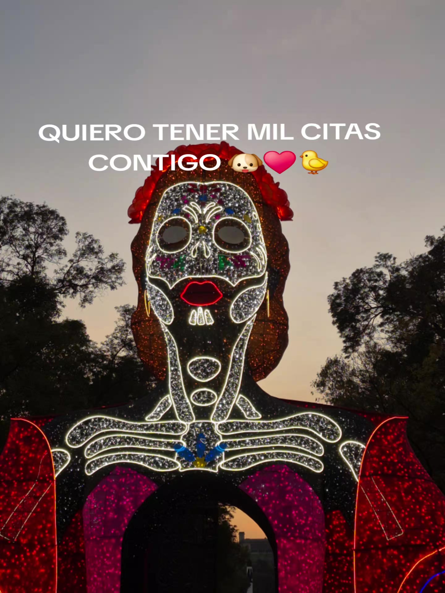 @Vivi Isidro