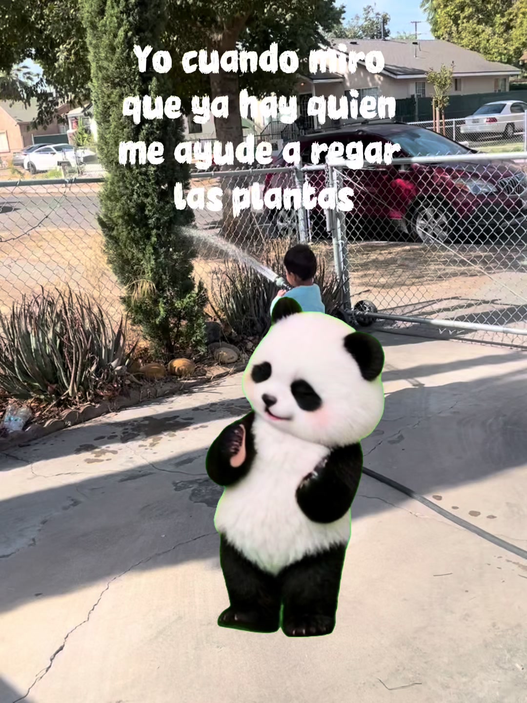 @coritaps