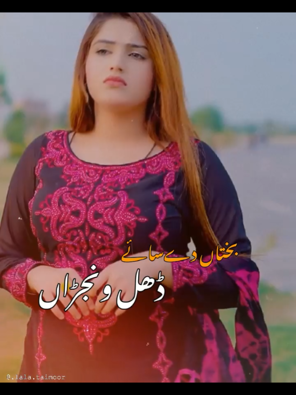 @Gill Graphy 174