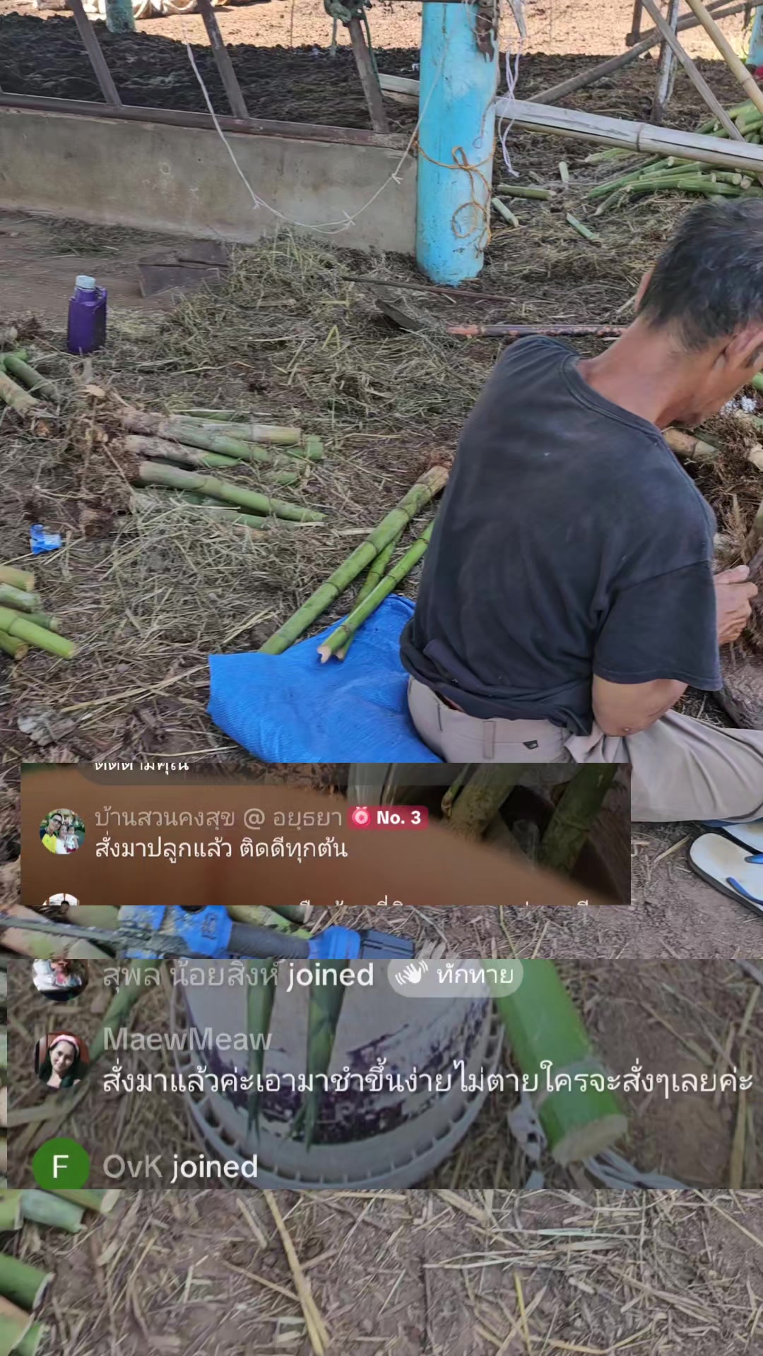 @นัดดาชอป