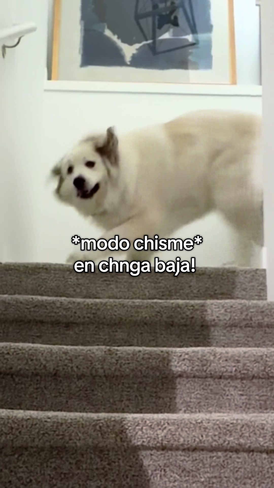 @Gee ☽