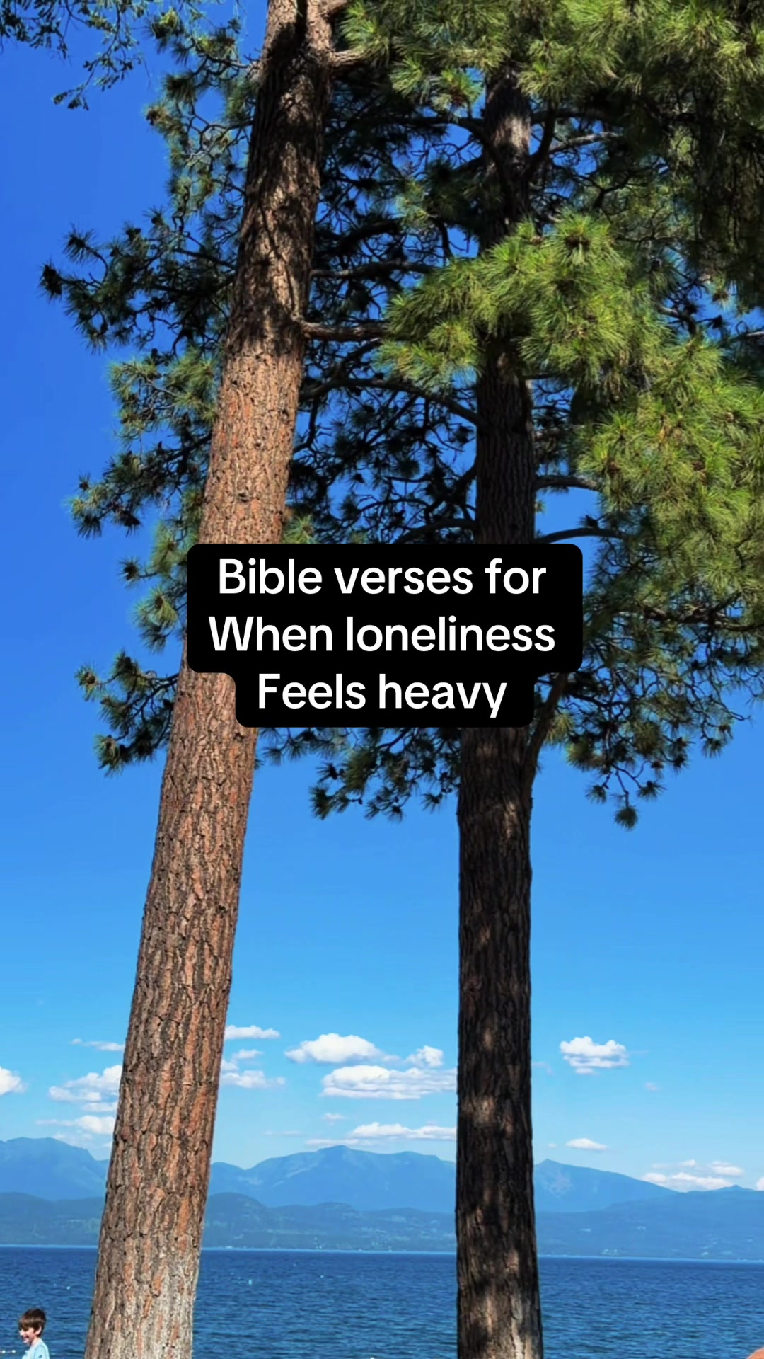 @mtverve