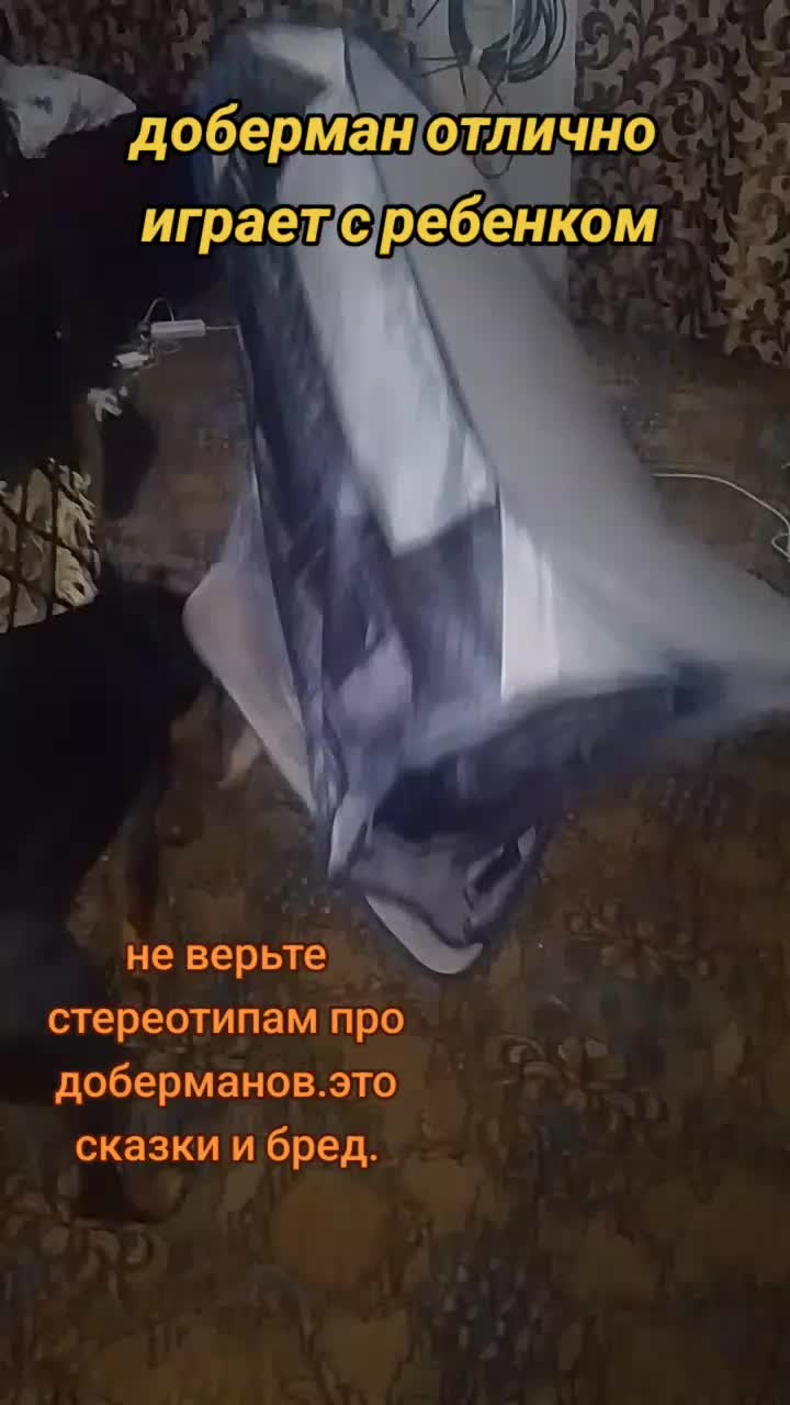 @̴Д̴О̴Б̴Е̴Р̴М̴А̴Н ̴А̴Л̴Ь̴М̴А🖤