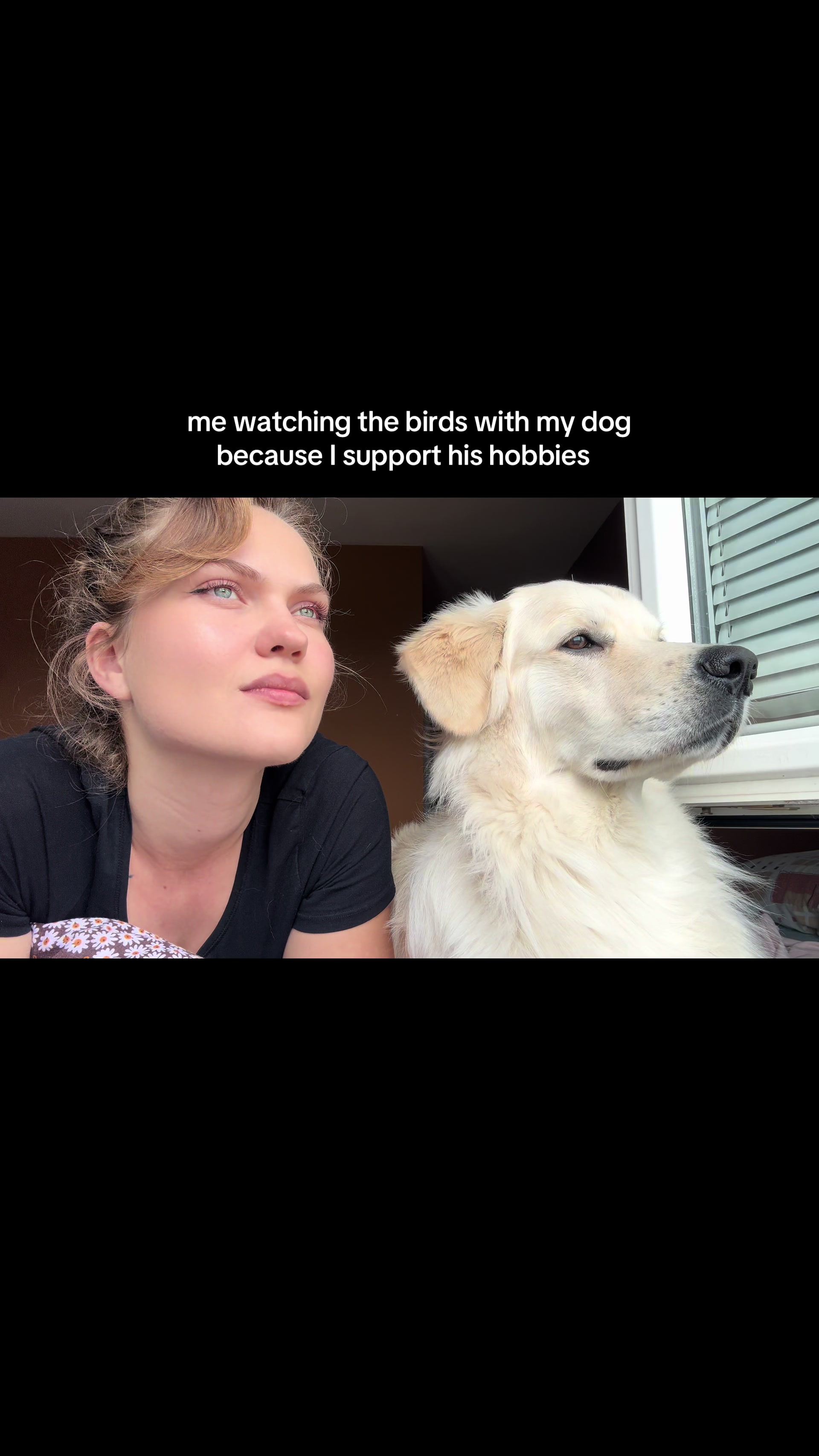 @vesse