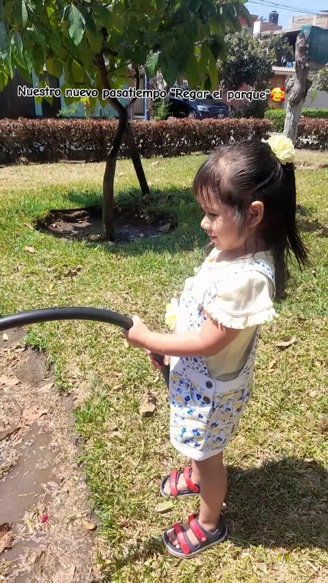 @Sunii Ignacio🌹❤️