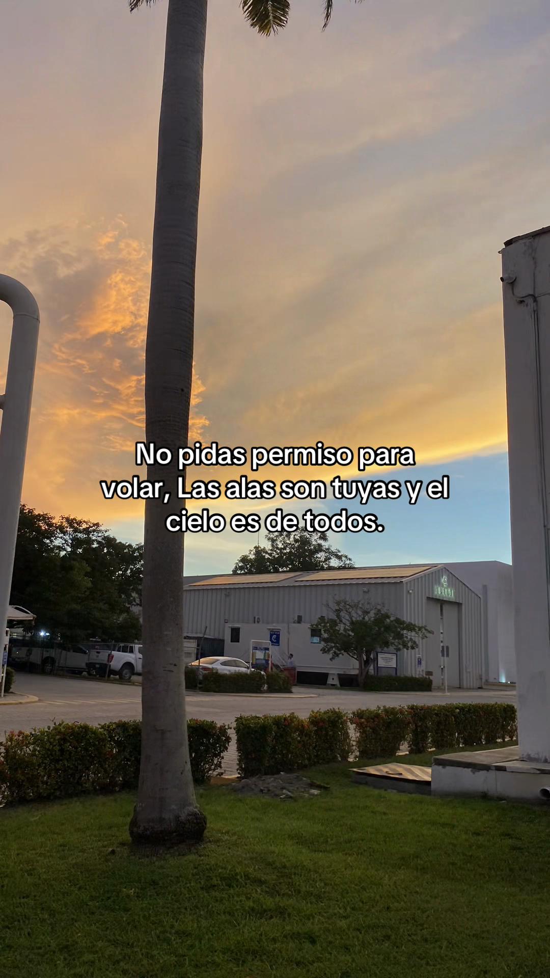 @FARITH WELDZ 🔥