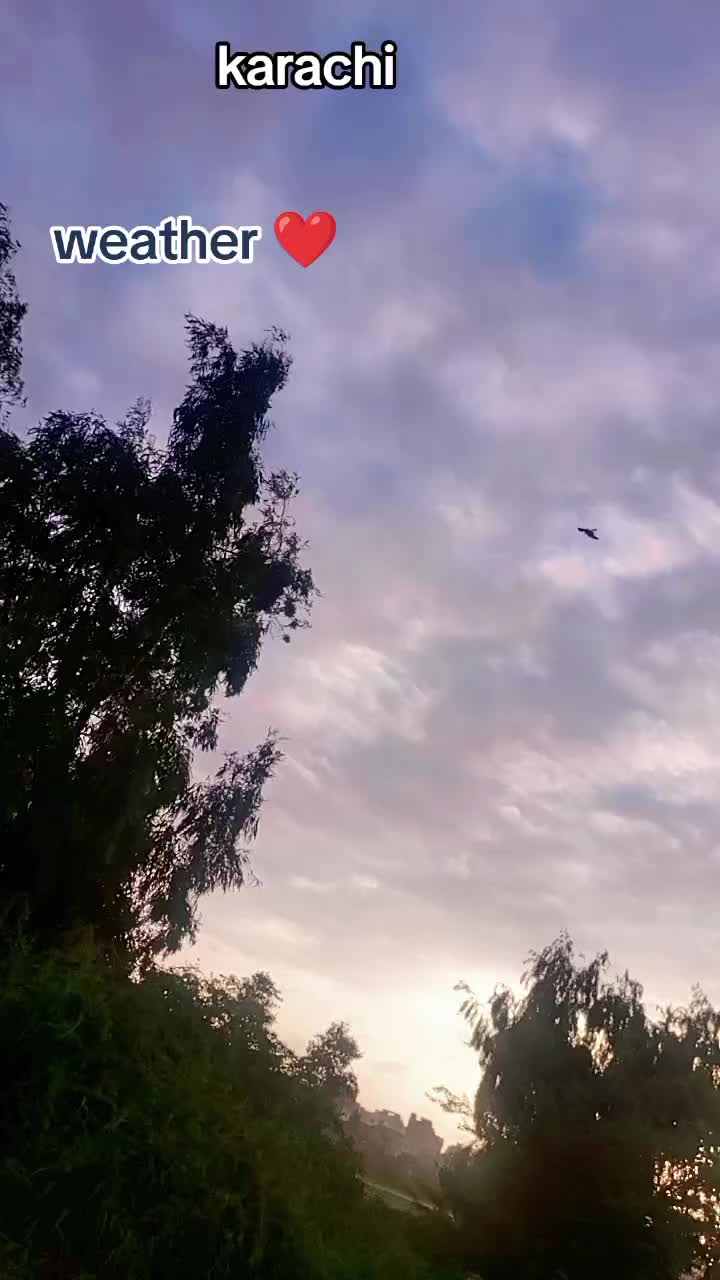 @maniAfridi2222