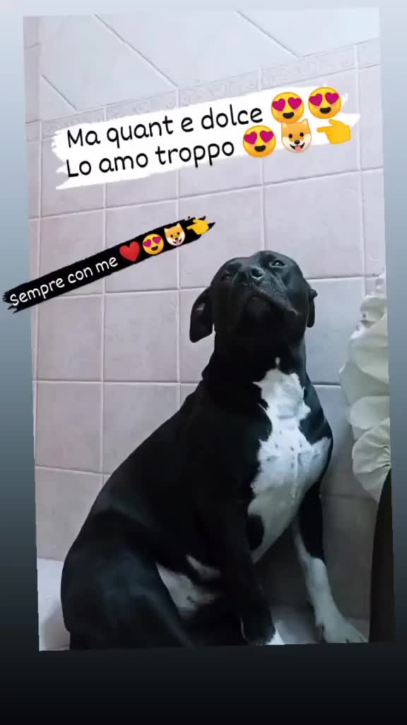 @𝑳𝒖𝒄𝒊𝒂 𝑰𝒏𝒇𝒂𝒏𝒕𝒆 🌞