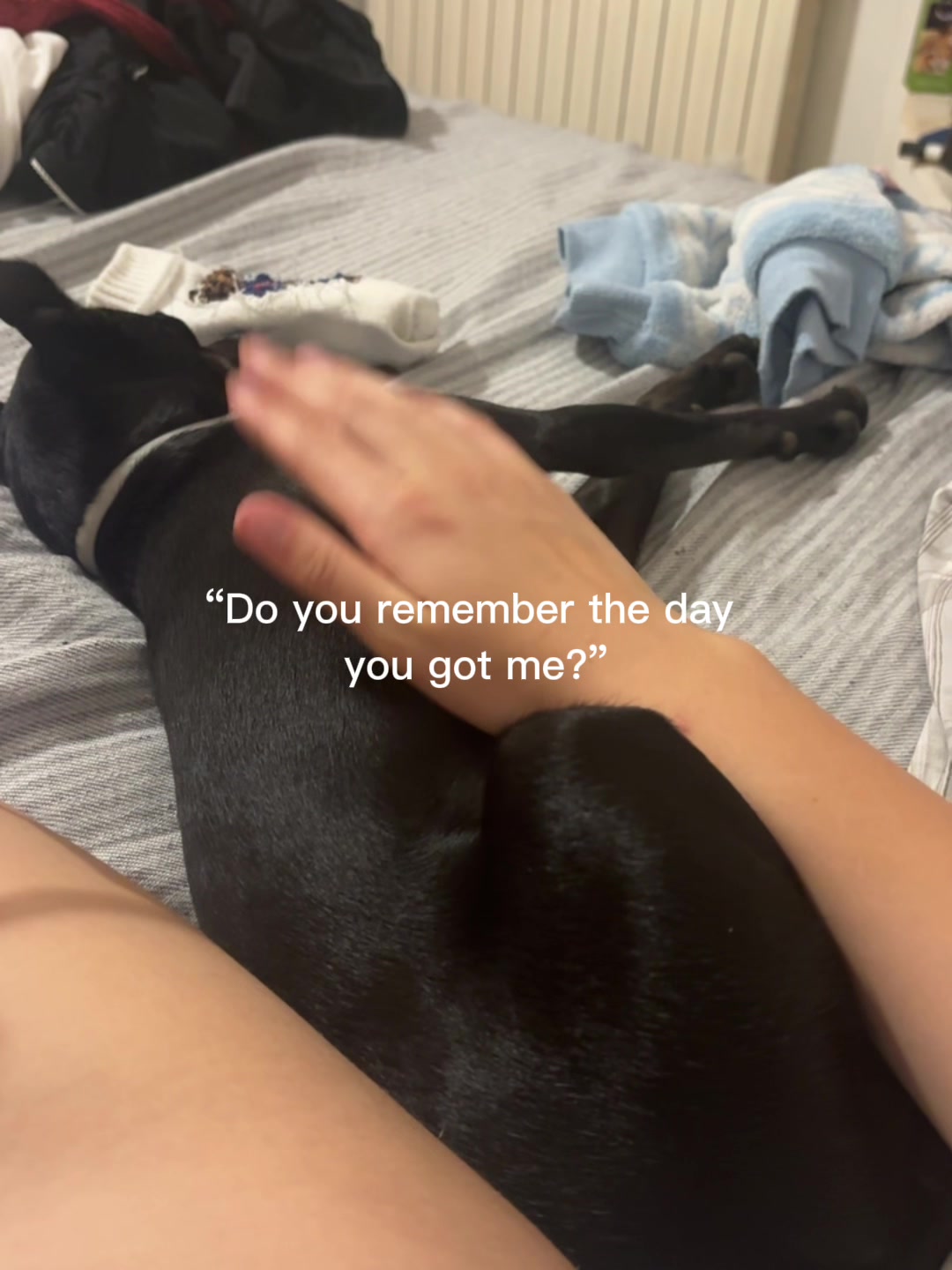 @lulu🤎🐾