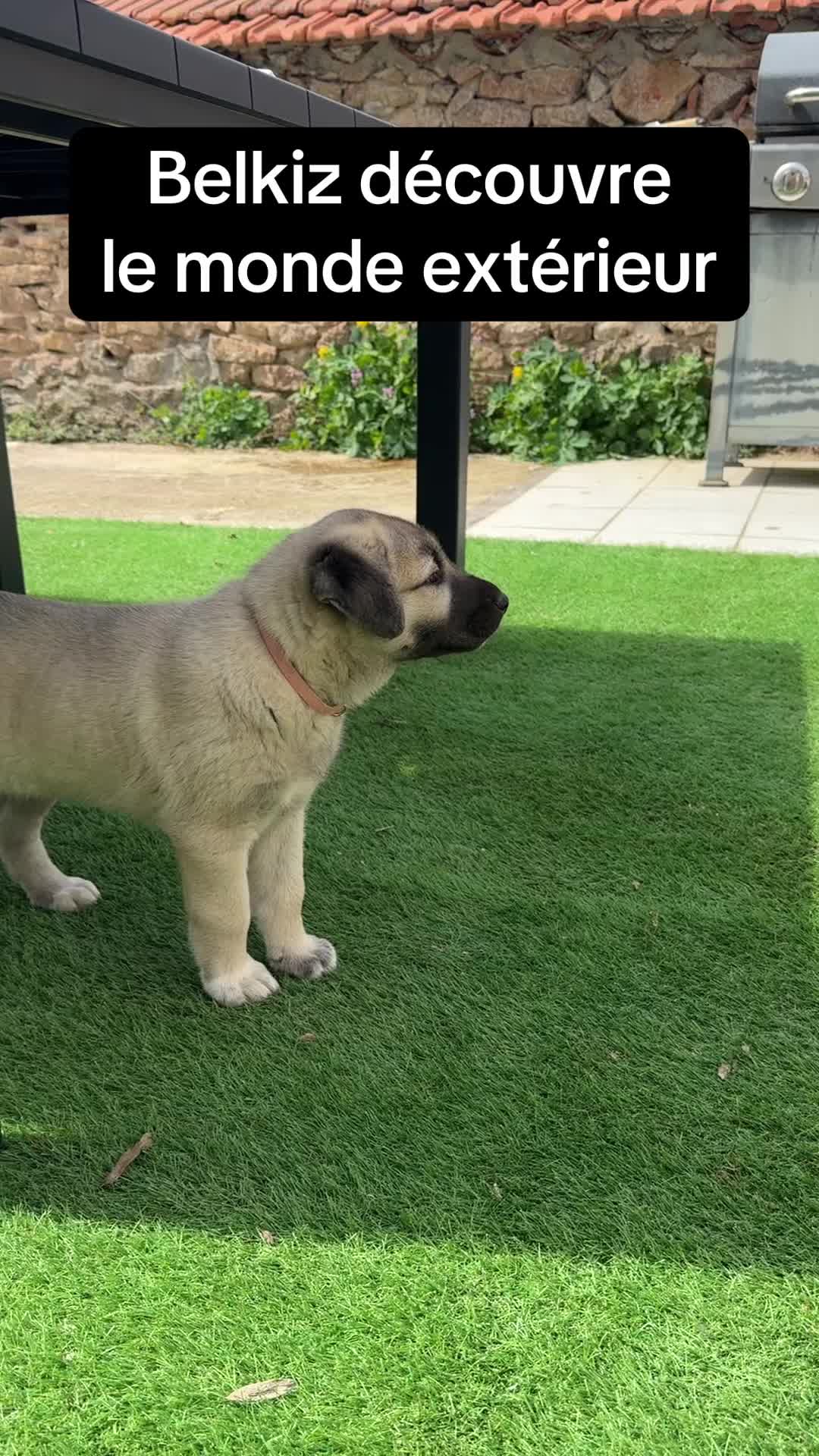 @Purekangal