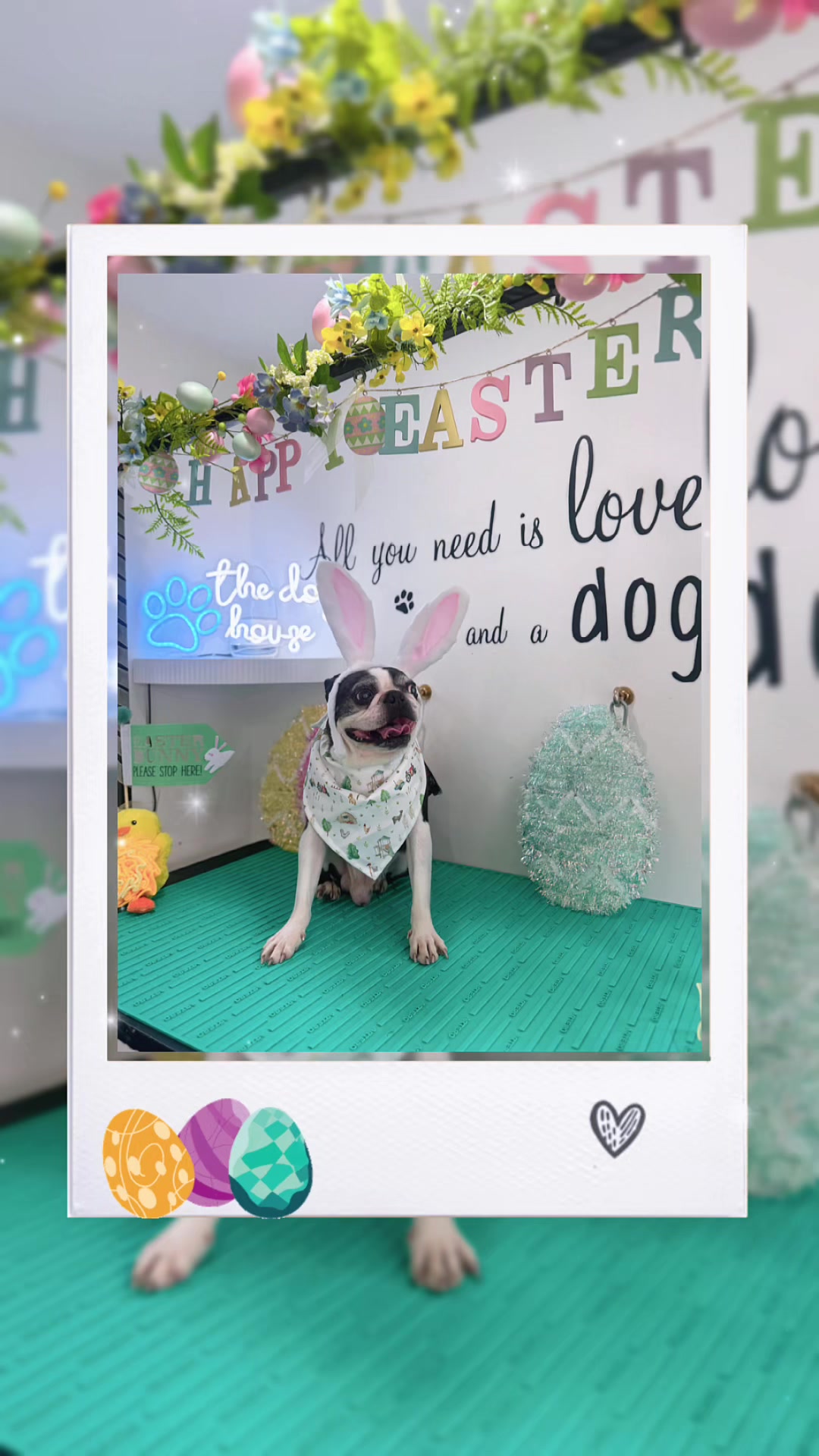 @PamperedPaws