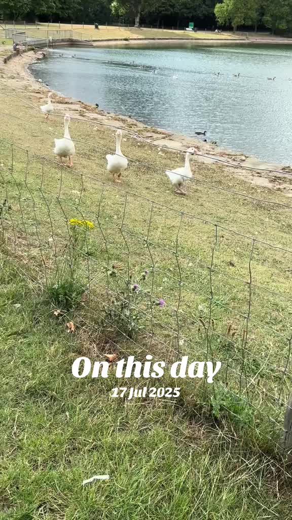 @flora_fauna_fur_feathers